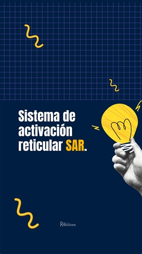 El Sistema de Activación Reticular (SAR) es como el “filtro inteligente” de tu cerebro. Piensa que estás rodeada de millones de estímulos todo el día (ruidos, luces, gente, ideas, anuncios). Tu cerebro no puede procesarlo todo, entonces el SAR: ✅ Decide qué sí entra a tu atención y qué ignora ✅ Te ayuda a mantenerte despierta y alerta (nivel de activación) ✅ Le da prioridad a lo que considera importante para ti (metas, miedos, necesidades, emociones) Ejemplos súper claros Compras un coche rojo y