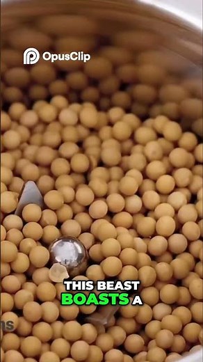 Amazon's Top Grain Grinders: The Ultimate Kitchen Beast!