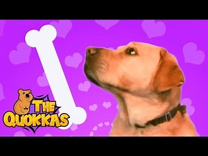 The Quokkas - Don't Pat Me Please (The Guide Dog Song) | Kids songs | Nursery rhyme | Sing and dance