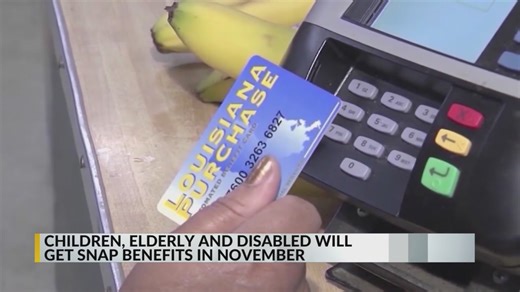 Will I receive SNAP benefits in November? Here’s what you need to know