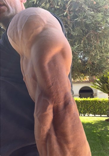 Two of my staple workouts for juicy & aesthetic triceps Spam pushups everyday Skull crushers till failure. #physique #natty #gym #fitness #gymmotivation