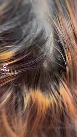 2.6K views | Ready to turn heads? 朗 Our Fuschia Pink and Violet hair transformation is the answer! Hair by Hair factory nyc  #UglyDucklingColor #pinkhair #violethair #beforeandafter #hairtransformation | Ugly Duckling Hair Color | Facebook