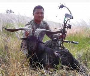 PTA Opening Areas to Bow and Bird Hunting | Big Island Now