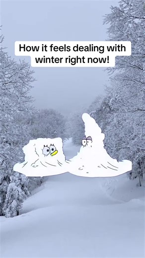 We haven’t had a winter this brutal in a while! 🥶🥶🥶 #Meme #MemeCut #cold #winter #freezing