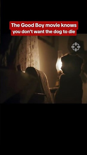 This dog horror movie knows your ACTUAL biggest fear