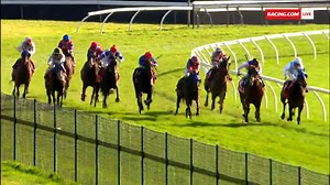 It took Zee Rebel 22 starts to break through and now he's scored back to back wins. | Racing.com