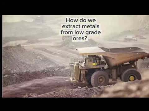 Phytomining and Bioleaching 