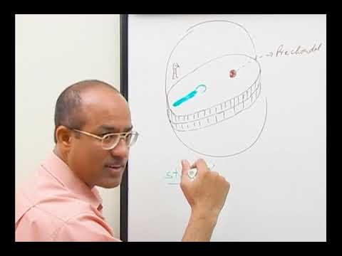 3rd week of development embryology part 1