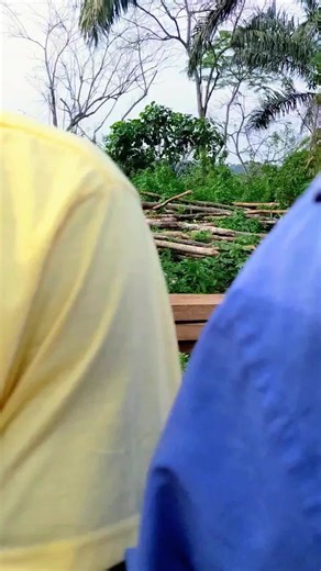 Navigating Adolescence: A Guide for African Parents