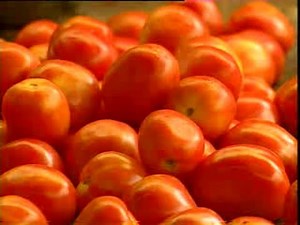 India Invented - Ep10 West meets East