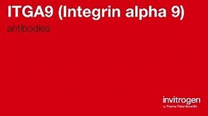 ITGA9 (Integrin alpha 9) antibodies from Thermo Fisher Scientific