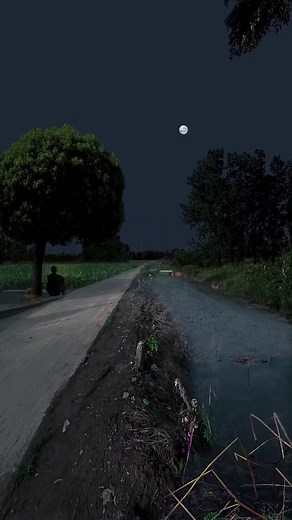 Night Time Moon Scenery Relaxation Videos