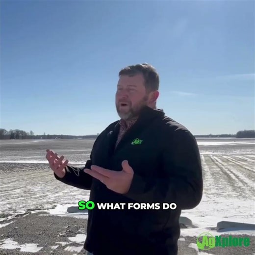 How Soil Biology Drives Nitrogen Loss Through Volatilization and Leaching