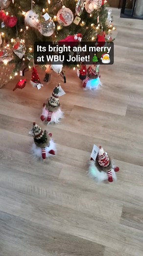 17 reactions · 4 comments | These holiday gnomes are just too cute! They move around, make noise, and light up with changing colors! So much fun for the holidays. Grab yours before they rock on out of here...only at WBU Joliet #wbu #wbujoliet #holidays #giftideas #gnomes | Wild Birds Unlimited | Facebook