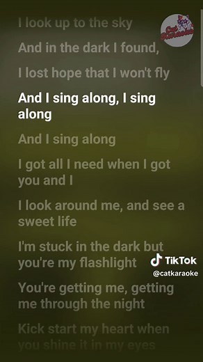 Cat Karaoke no TikTok