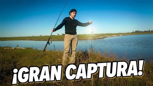 Más de 5 bagres capturados: carnada que realmente funciona