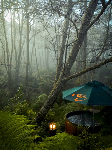 Secret Spot Hot Tubs: Rotorua's Forest Bathing Oasis
