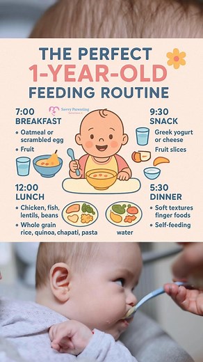 ✨ The Perfect 1-Year-Old Feeding Routine ✨ If your little one just turned one, this is the gentle structure that keeps their tummy full, mood stable, and growth on track 💛 🌅 Breakfast (7–8 AM) A nourishing start: oats, eggs, yogurt, fruits, PB toast strips. 120–150ml milk if they still take a morning feed. 🍌 Snack (10 AM) Light & simple: soft fruits, cheese cubes, yogurt bites, mini muffins. 🍽️ Lunch (12–1 PM) Balance is everything: protein veggies carbs. Try chicken, rice, mashed potatoes, 