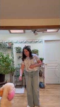 Teaching your dog to stand