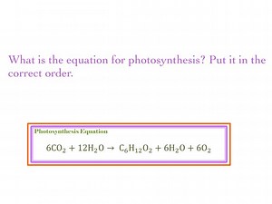 Photosynthesis Equation