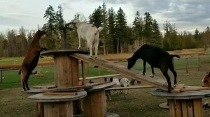 37 reactions | New enrichment options every day is our goal at The...