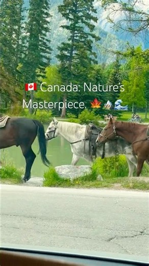 Canada: Wild. Beautiful. Unforgettable. 🍁