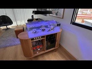 NANO SHALLOW REEF - 12/2024 New Video - How is going the Tank!