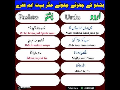 Top 54 Pashto Sentences | Daily Routine New 54 Sentences in Pashto Urdu | Learn Pashto in to urdu
