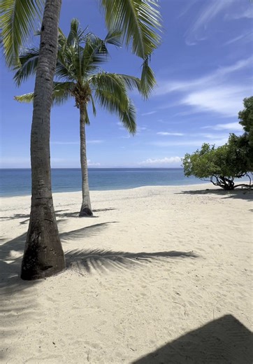 Pet-Friendly Beach Resort Stay at Virgin Beach