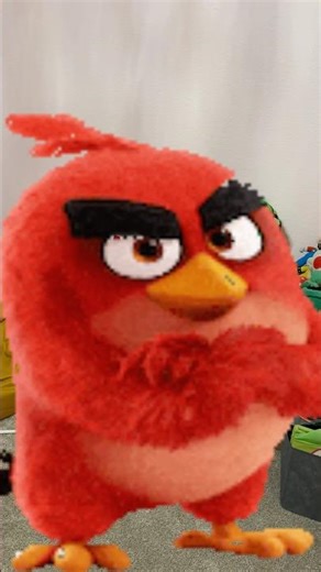 Jackass angry birdss 2