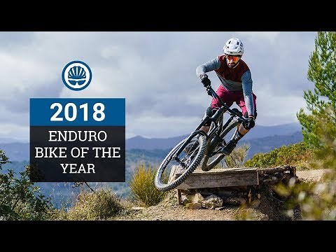 Canyon Torque CF 8.0 - Enduro Bike of the Year 2018 Winner