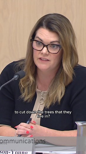 132K views · 5.5K reactions | Labor’s “environment” laws will fast track the logging and destruction of critical habitat that endangered species call home. This is far from environmental protection. But, clearly the logging industry have no issue with this 路‍♀️ They’re more than happy to point fingers elsewhere and not at the bulldozers and chainsaws destroying our forests. | Senator Sarah Hanson-Young | Facebook