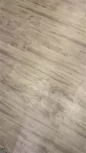 15 On Hill Crescent on TikTok