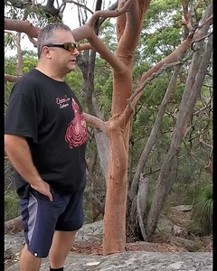 CLICK HERE TO REGISTER FOR MY 6 HOUR GAIASPHERE LECTURE http://bit.ly/30IBQyZ | Billy C Carson