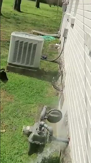 removing algae on roof