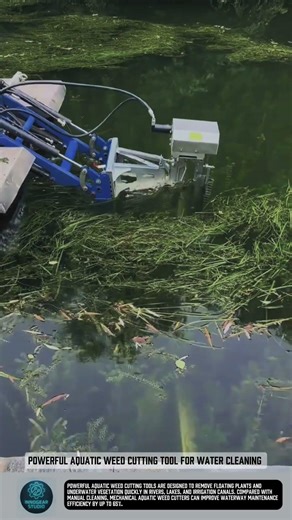 Powerful Aquatic Weed Cutting Tool for Water Cleaning #tools