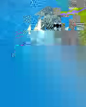 64K views · 1.2K reactions | "Turtle mating season has commenced on the Great Barrier Reef! The successful male grips on tightly to the female with special hooks on the front flippers and holds on for dear life. The female will mate with various males and is able to store sperm and fertilise 3-7 clutches of eggs throughout the season." - IG user jacintashackleton in the Great Barrier Reef | PADI | Facebook