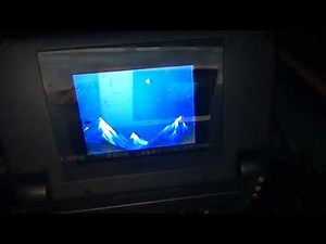 Closing to Pinocchio 1993 VHS