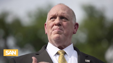 Hundreds held at Florida's ‘Alligator Alcatraz,' many with no criminal record