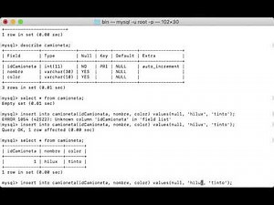 mysql desde la línea de Comandos