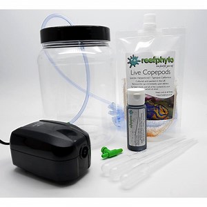 Copepod Culture Kit | Reefphyto