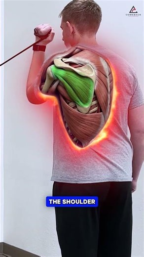 Front Shoulder Pain Isn’t Random #shoulderpain #bicepstendonitis #physicaltherapy #shoulderrehab #sh