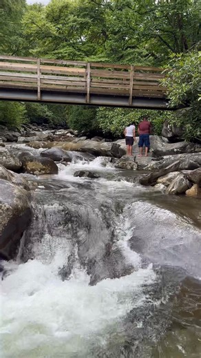 The Great Smoky Mountains National Park offers a profound, timeless, and serene experience for visitors seeking both adventure and tranquility. #ilovethesmokies #naturelovers #greatsmokymountains #hiking #greatsmokymountainsnationalpark | I Love The Smoky Mountains