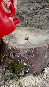 50K views · 140 reactions | Stump Removal with Ease | पांडा हैक्स और ट्रिक | Facebook