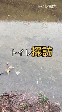ぶらり公園トイレ探訪記。