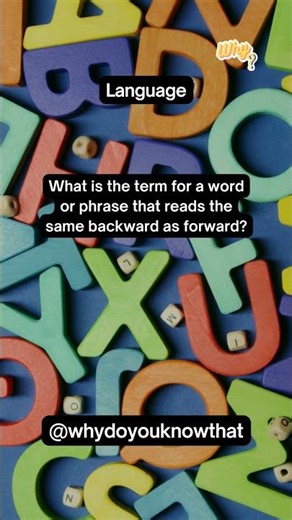 Do you know the answer of this fact? Random facts about anything and anything.