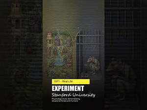 The Mouse Utopia Experiment: What Happens When Society Becomes Perfect