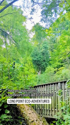 1.8K views · 13 reactions | Have you booked anything yet with Long...