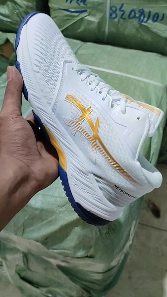 terbaru netburner#netbunerparis #netburnerff3