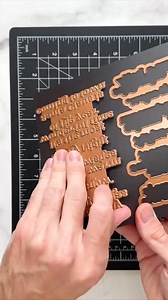 269K views · 1.8K reactions | This new Poinsettia Embossing Folder...